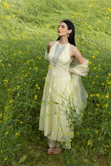 Ziyaara Anarkali set