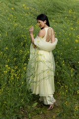 Ziyaara Anarkali set