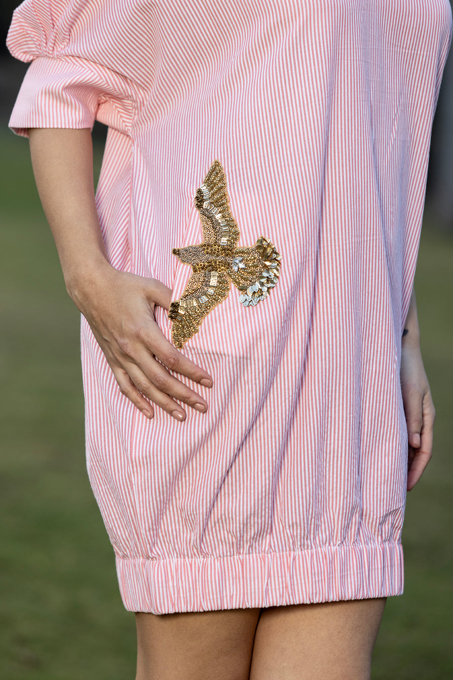 Coastal Wings