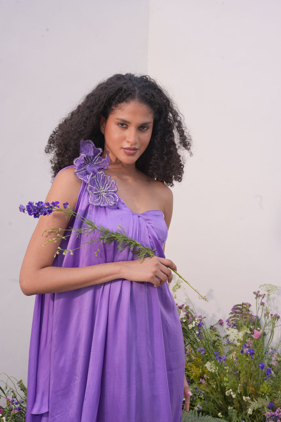 Lavender Blush