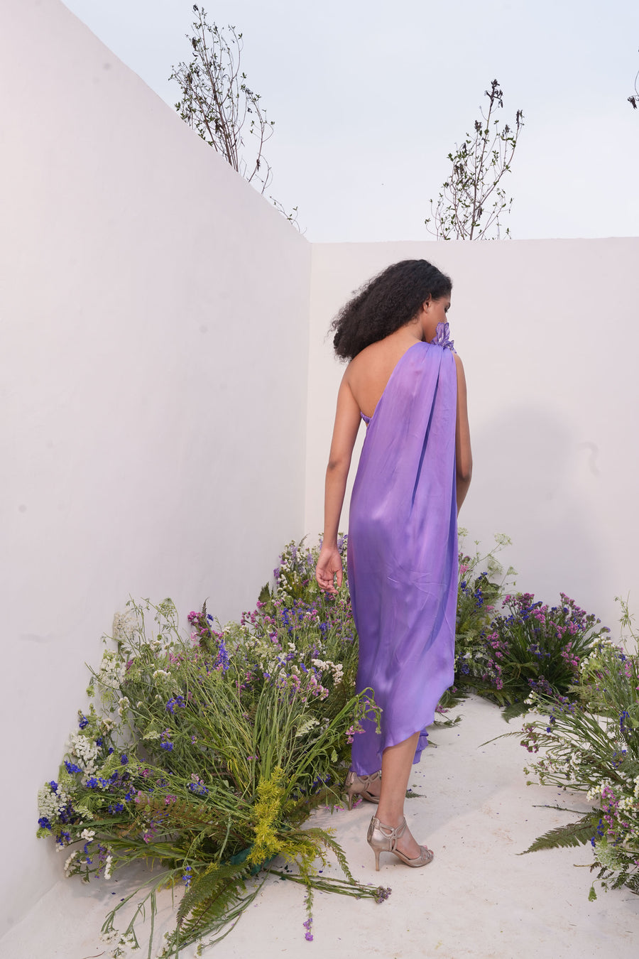 Lavender Blush