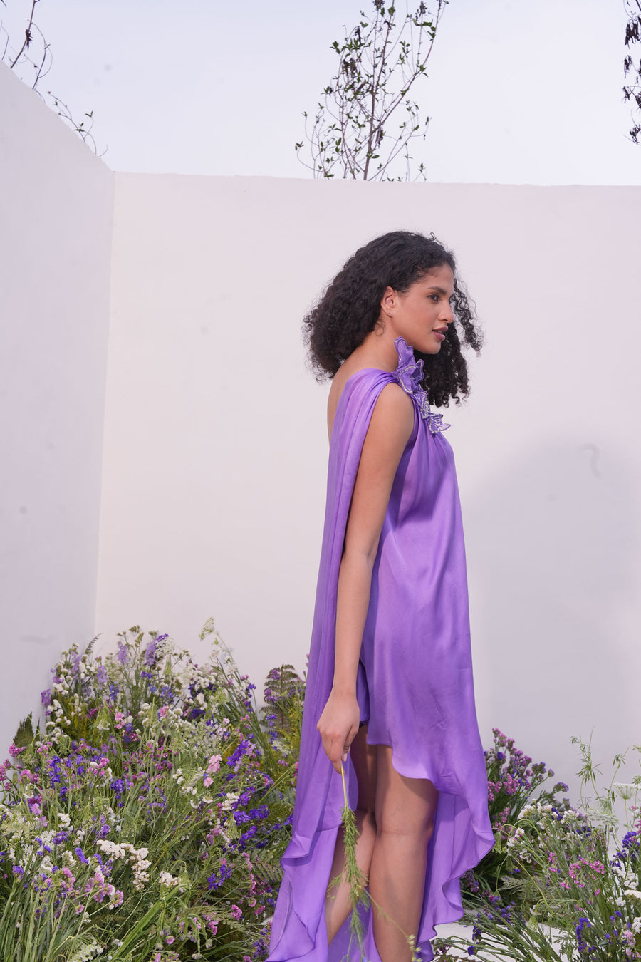 Lavender Blush