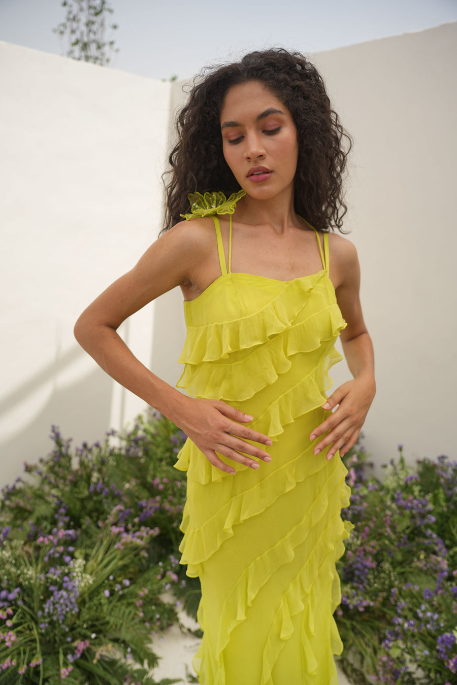 Mimosa Romance