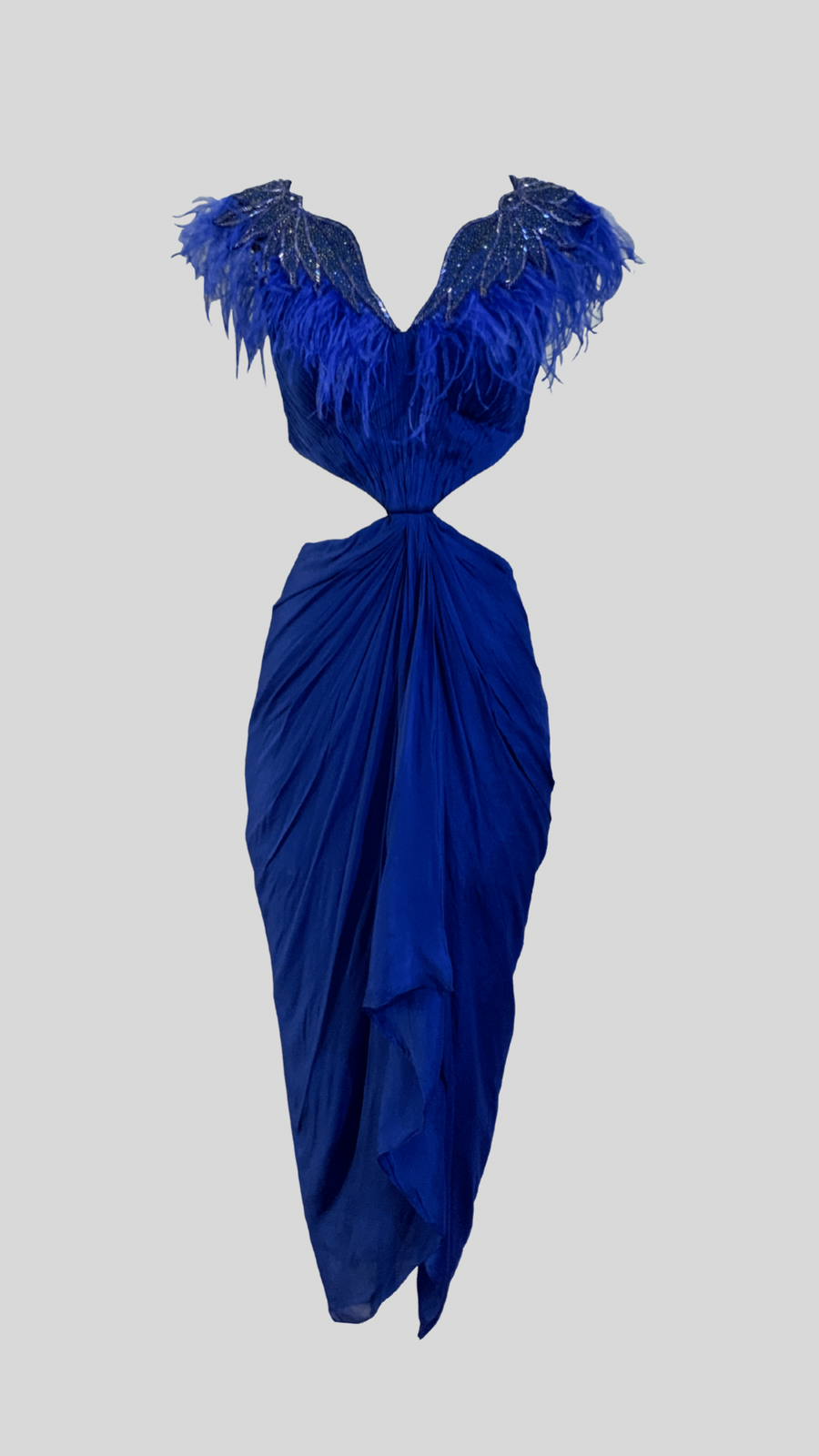 Indigo Bunting