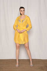 Winged Shirt Dress