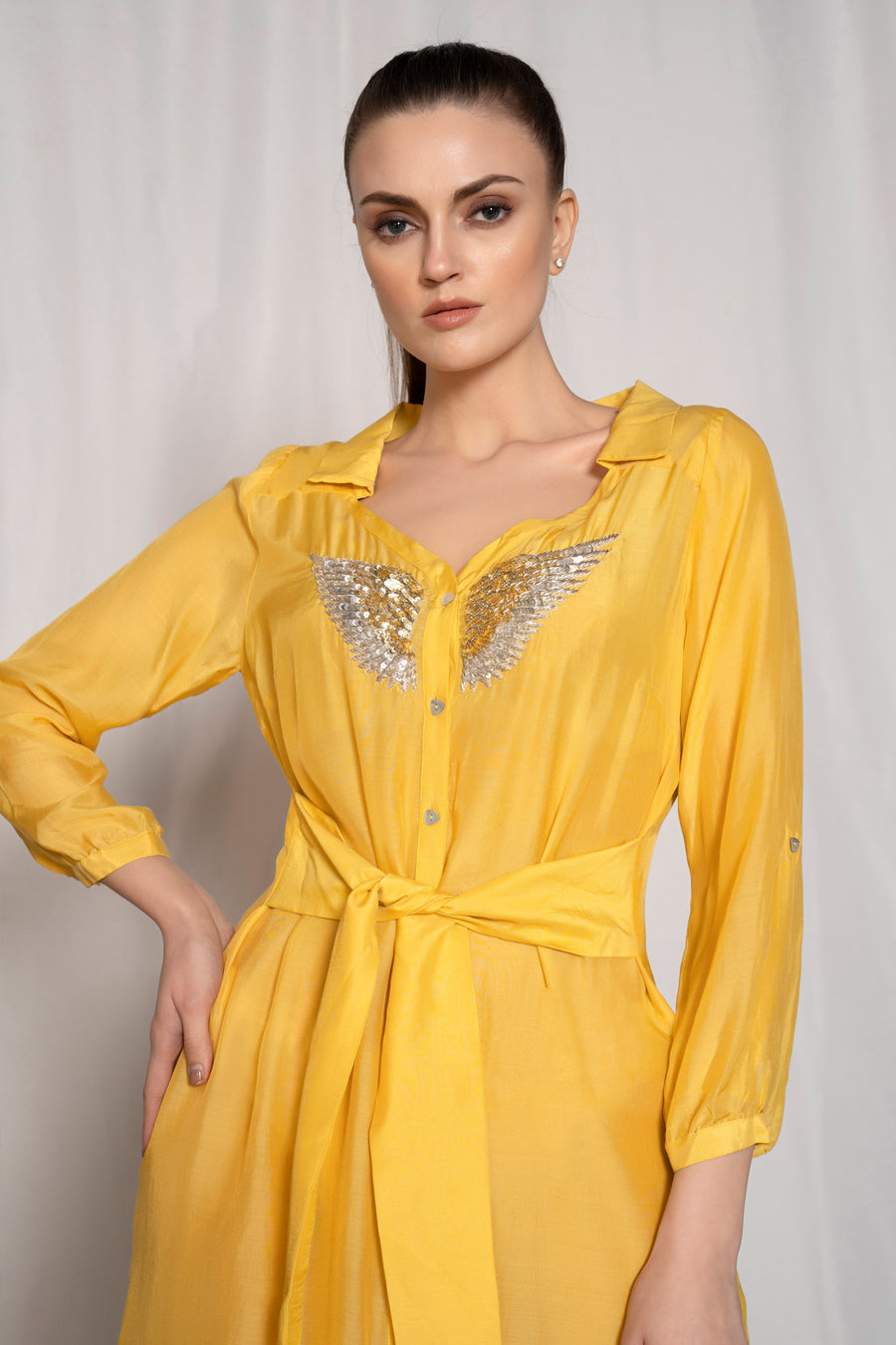 Winged Shirt Dress