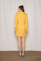 Winged Shirt Dress