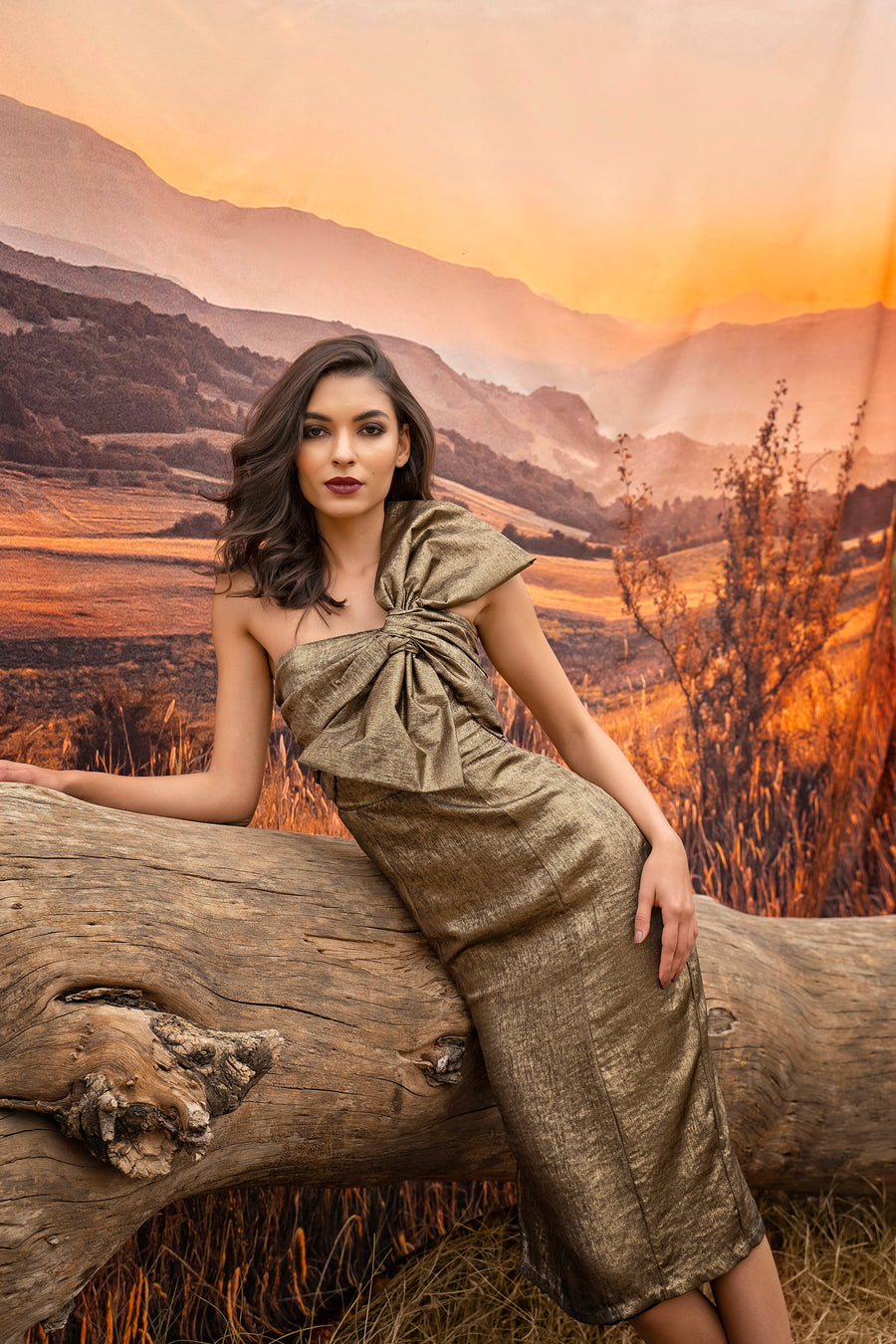 Gold Bow Dress